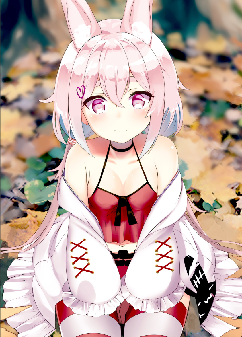 1girl absurdres animal_ear_fluff animal_ears autumn_leaves between_legs breasts bunny_ears camisole choker cleavage commentary_request hair_ornament hairclip hand_between_legs highres jacket leaf long_hair low_twintails midriff navel odeclea off_shoulder outdoors pink_eyes pink_hair red_camisole red_shorts short_shorts shorts sitting small_breasts smile solo thigh_strap thighhighs tomari_mari tomari_mari_channel twintails white_jacket