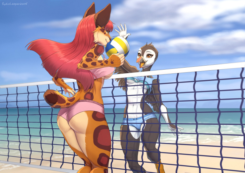 2019 5_fingers alcid anthro avian beach beak bird breasts clothed clothing day detailed_background digital_media_(artwork) duo felid feline female fingers hi_res kyotoleopard lari leopardus mammal non-mammal_breasts ocelot open_mouth outside pearl_(boolean) puffin sand seaside shoreline sky tongue water