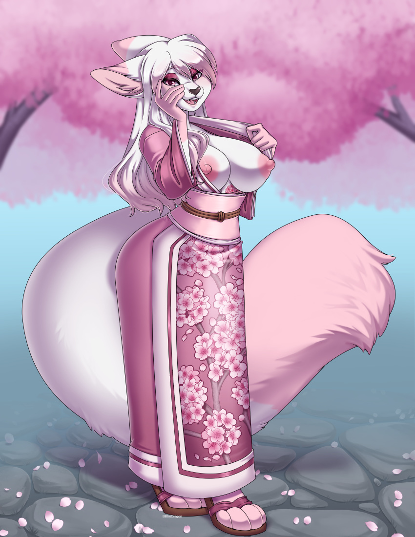 absurd_res anthro areola asian_clothing big_breasts big_nipples blithedragon blush breasts canid canine canis cherry_blossom clothed clothing east_asian_clothing exposed_breasts female fingers flashing fur hair hand_on_face hi_res huge_breasts japanese_clothing kimono long_hair looking_at_viewer mammal nipples open_mouth plant puffy_nipples sakuradlyall solo standing tongue white_body white_fur wolf