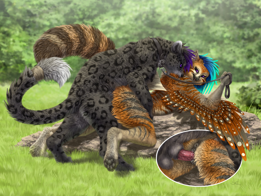 2019 anthro anthro_on_feral anthro_penetrated anus avian balls bestiality black_body black_fur black_spots blue_hair brown_body brown_feathers brown_fur collar day detailed_background feathered_wings feathers felid feline female female_penetrated feral feral_penetrating feral_penetrating_anthro fur grass grey_body grey_fur gryphon hair leash leopard male male/female male_penetrating male_penetrating_female mammal outside pantherine penetration penis pussy sabretoothed_ermine spots spotted_body spotted_fur wings