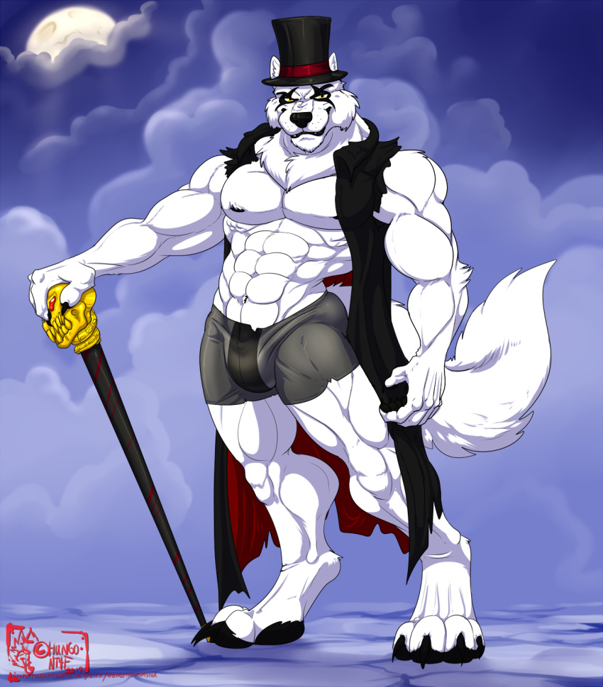 2019 4_toes 5_fingers abs anthro biceps cane canid canine canis claws clothing fingerpads fingers fur hi_res hungothenomster looking_at_viewer male mammal muscular muscular_male muscular_thighs neck_tuft nipples pecs solo standing toe_claws toes tuft underwear white_body white_fur white_skin wolf yellow_eyes