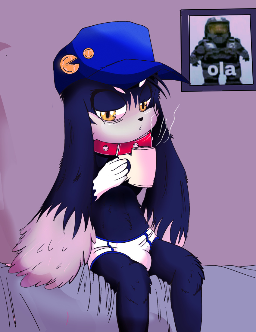 2019 absurd_res anthro big_ears briefs bulge clothing collar domestic_cat erection felid feline felis fur hat headgear headwear hi_res klonoa klonoa_(series) lagomorph leporid looking_at_viewer male mammal rabbit simple_background sitting solo tfrost89 tighty_whities underwear video_games