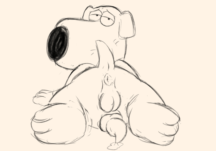 2019 absurd_res animal_genitalia animal_penis anthro anus backsack balls bedroom_eyes black_nose bodily_fluids brian_griffin butt canid canine canine_penis canis cum domestic_dog erection family_guy genital_fluids half-closed_eyes hi_res knot looking_at_viewer lying magzol male mammal nude on_front on_model paws penis perineum presenting presenting_hindquarters seductive sketch solo tailwag
