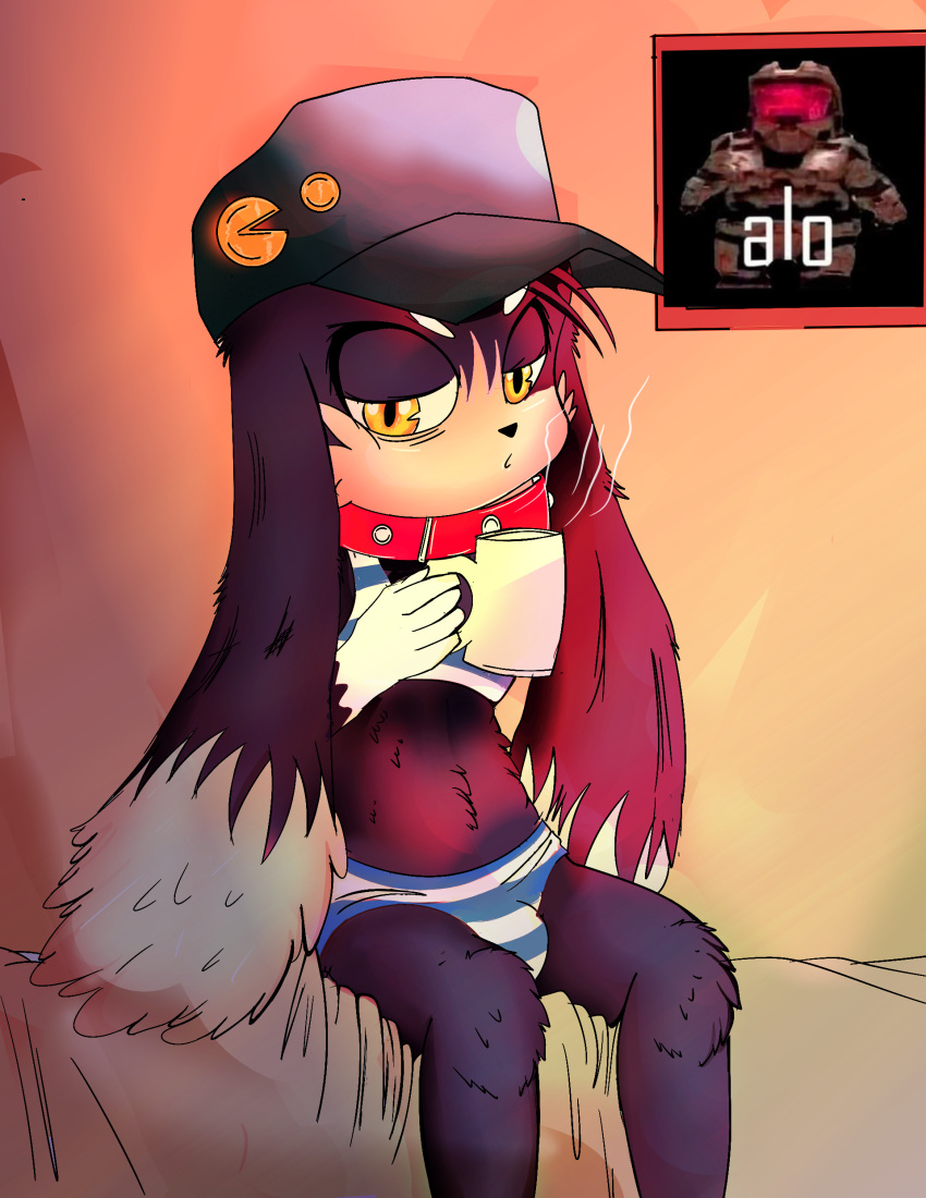 2019 absurd_res anthro big_ears briefs bulge clothing collar domestic_cat erection felid feline felis fur hat headgear headwear hi_res klonoa klonoa_(series) lagomorph leporid looking_at_viewer male mammal rabbit simple_background sitting solo tfrost89 tighty_whities underwear video_games