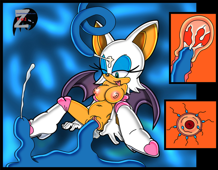 chaos rouge_the_bat sonic_team tagme zetar02
