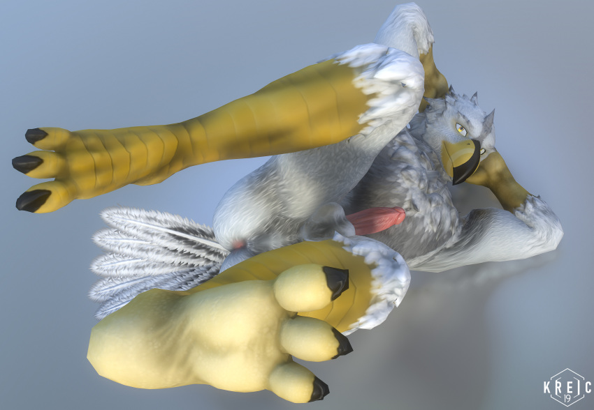 2019 3d_(artwork) accipitrid accipitriform anus avian balls bird circumcized digital_media_(artwork) eagle feathers feet hi_res humanoid_penis kreic looking_at_viewer male penis plantigrade presenting solo