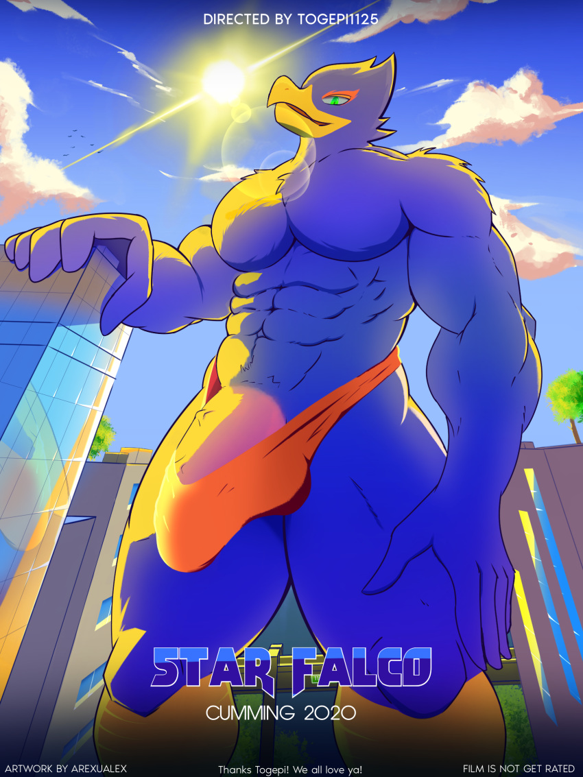 arexualex avian bird bulge city clothing english_text falco_lombardi flaccid hi_res looking_down looming low-angle_view macro male nintendo penis speedo star_fox swimwear text video_games