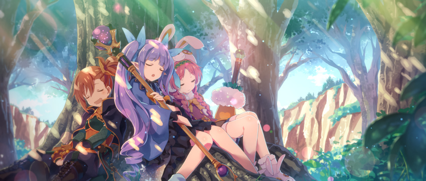 animal_ears boots braids brown_hair bunny_ears dress forest hat long_hair pink_hair pointed_ears ponytail princess_connect! purple_hair sleeping staff tagme_(character) tree twintails yuuki_tatsuya