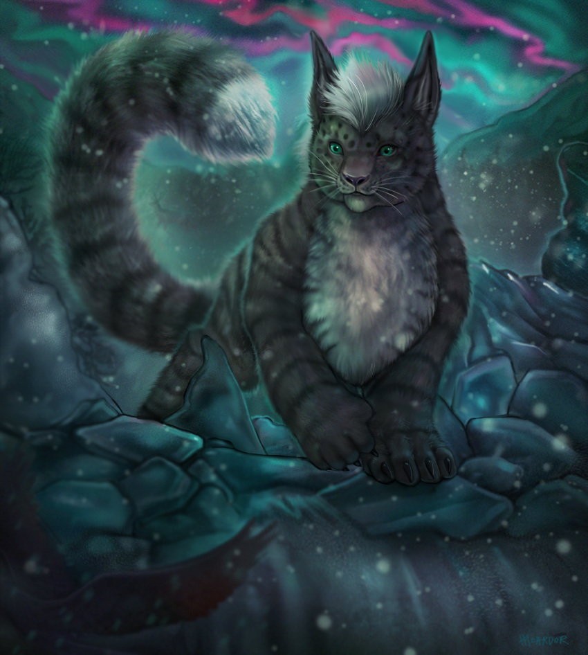 aurora_borealis domestic_cat felid feline felis feral green_eyes hi_res illustration kyte kyte_frost kytecat mammal moardor snoval taiga