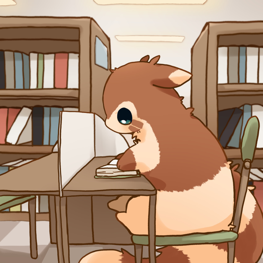 1:1 2019 book brown_body brown_fur detailed_background fur furret hi_res ke_mo_suke nintendo pok&eacute;mon pok&eacute;mon_(species) reading sitting solo video_games