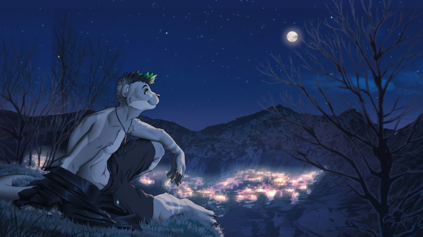 2019 anthro clothed clothing detailed_background digital_media_(artwork) fur grass grey_body grey_fur kero_tzuki lutrine male mammal moon mustelid night outside sitting sky solo star starry_sky topless