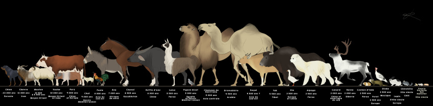 2018 4_toes absurd_res alpaca ambiguous_gender anatid anseriform anserinae antlers avian bactrian beak bird black_background black_beak black_body black_ears black_eyes black_fur black_mane black_markings black_spots blue_eyes bovid bovine brown_body brown_feathers brown_fur brown_skin camel camelid canid canine canis capreoline caprine cattle caviid cervid chart chicken chinchilla chinchillid columbid common_pigeon cricetid curved_horn dewlap_(anatomy) domestic_cat domestic_dog domestic_ferret domestic_goose domestic_pig dromedary duck equid equine fatty_humps feathered_wings feathers felid feline felis feral fluffy fluffy_tail french_text fur furry_tail galliform gallus_(genus) gaur gerbil goat goose green_body green_feathers grey_body grey_feathers grey_fur grey_horns grey_markings grey_skin group guinea_pig hamster hi_res hooves horn horse lagomorph large_group leg_markings leporid llama long_horns male mammal mane markings membrane_(anatomy) mouse multicolored_body multicolored_feathers multicolored_fur murid murine mustela mustelid musteline nipples open_mouth orange_beak orange_body orange_sclera orange_skin phasianid pigeon pink_body pink_feathers pink_nose pink_skin pink_tail rabbit rainbowleo rat rat_tail red_body red_skin reindeer rock_dove rock_pigeon rodent sheep side_view signature simple_background size_chart snout socks_(marking) species_name spots spotted_body spotted_fur standing suid suina superabsurd_res sus_(pig) tail_tuft tan_body tan_fur text toes true_buffalo tuft turkey two_tone_body two_tone_feathers two_tone_fur water_buffalo wattle webbed_feet whiskers white_body white_feathers white_fur white_wings wings wool_(fur) yak zygodactyl
