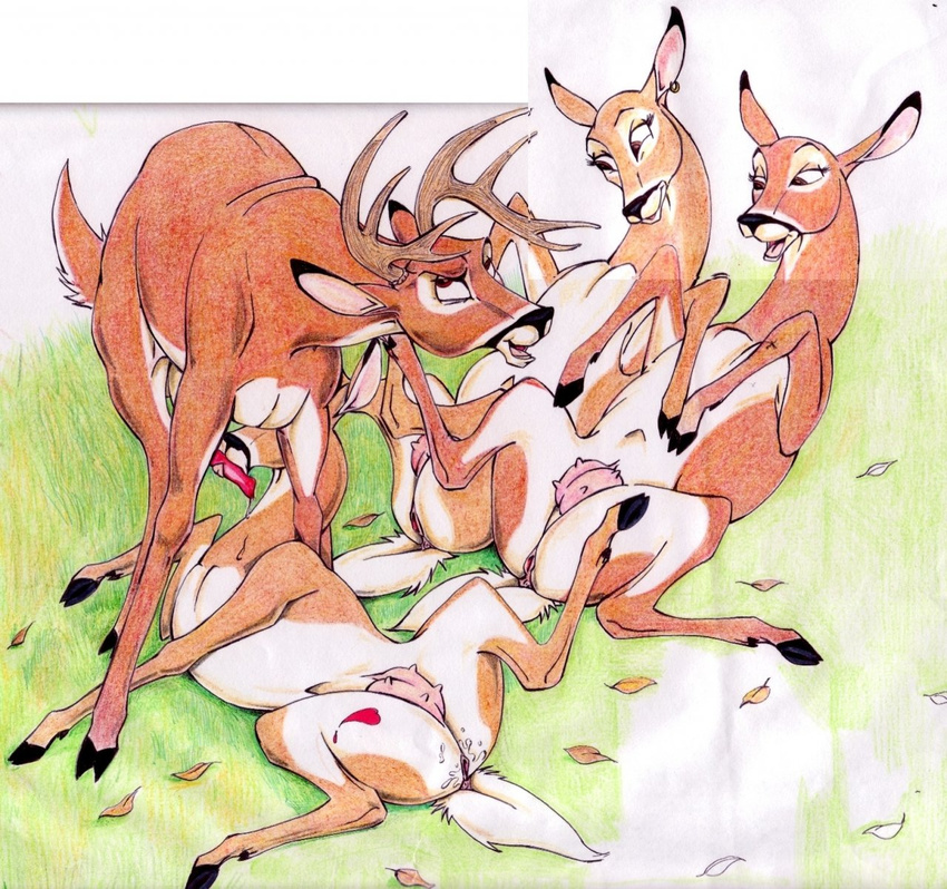 bambi disney faline klaus_doberman tagme