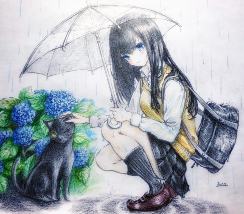 artist_name bag black_cat black_hair black_skirt blue_eyes blush bookbag brown_footwear cat colored_pencil_(medium) flower full_body hydrangea light_smile long_hair one_eye_closed original outdoors petting rain sananatte shirt skirt socks squatting traditional_media transparent transparent_umbrella umbrella wet white_shirt yellow_eyes yellow_sweater_vest