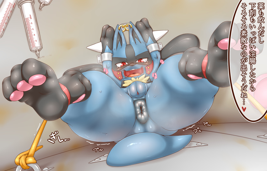 &lt;3 2019 3_toes alacarte anthro anus arms_above_head bdsm black_body black_fur blue_body blue_fur blush bodily_fluids bound butt canid canine feet female fingers forced fur gag gagged grey_background japanese_text lucario mammal multicolored_body multicolored_fur nintendo open_mouth pawpads pok&eacute;mon pok&eacute;mon_(species) pussy red_eyes shaking simple_background solo spikes spread_legs spreading sweat tears teeth text thick_thighs toes tongue translation_request trembling video_games yellow_body yellow_fur