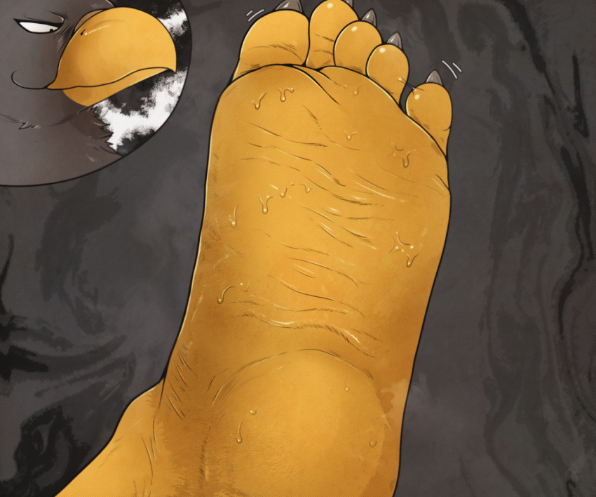 5_toes accipitrid accipitriform avian bird bodily_fluids eagle foot_focus male sweat tan_(artist) toes