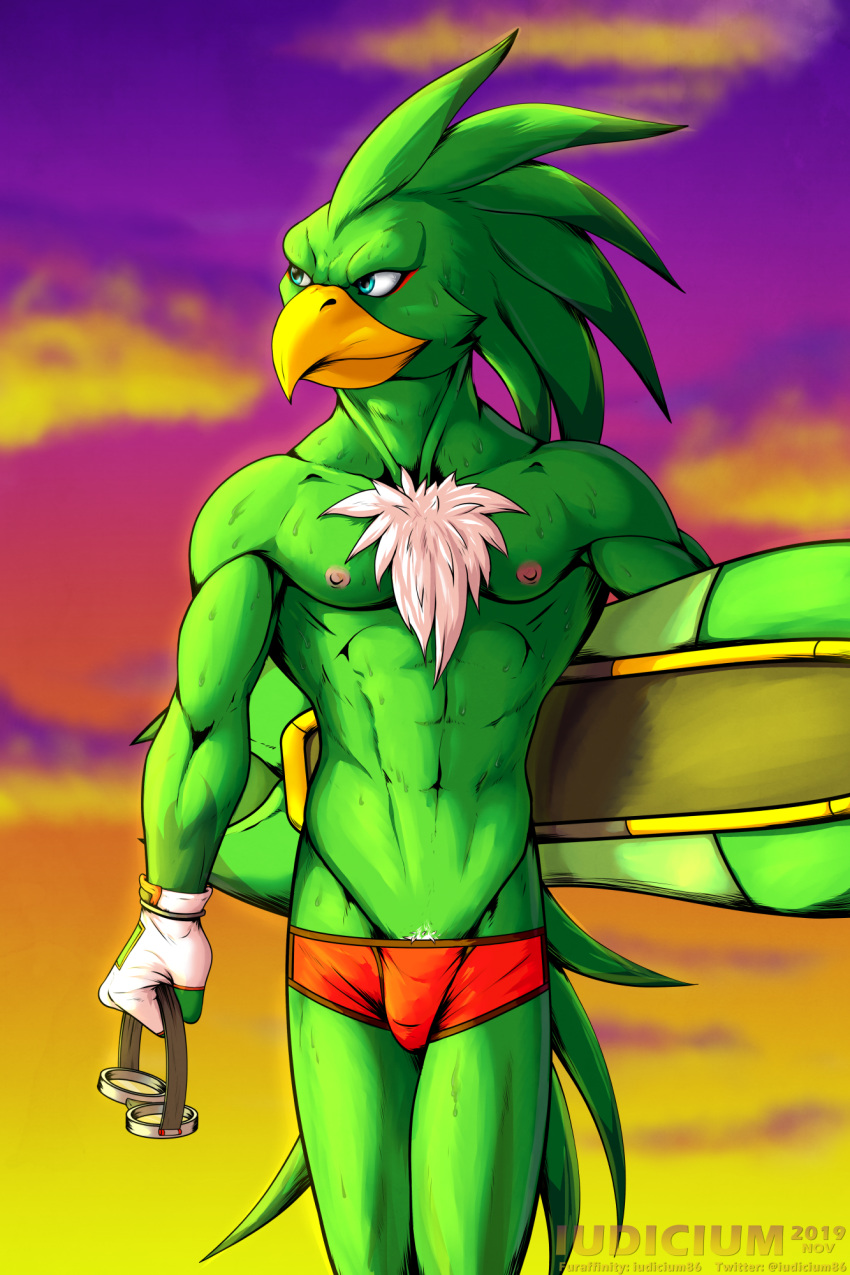 abs accipitrid accipitriform aircraft airplane athletic avian bird bodily_fluids clothing gloves handwear hi_res iudicium86 jet jet_the_hawk nipples sonic_riders sonic_the_hedgehog_(series) sunset sweat underwear