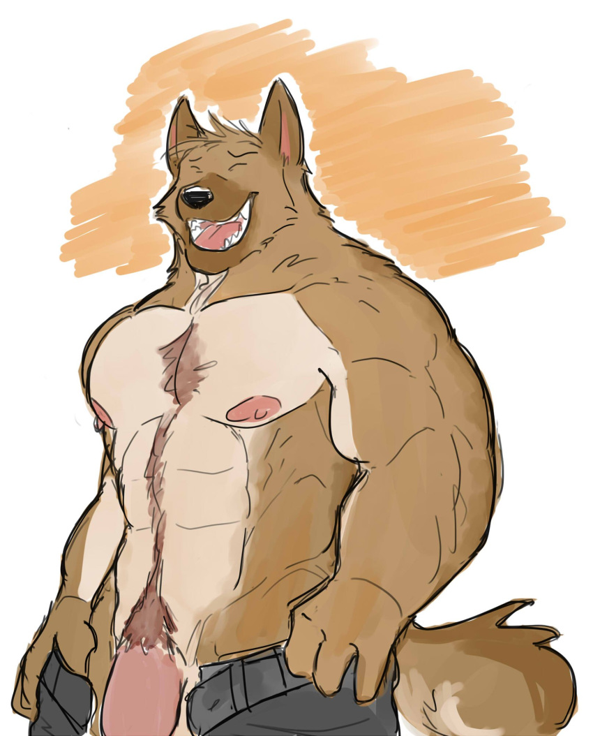 4_fingers abs anthro balls biceps black_nose body_hair bottomwear brown_body brown_fur canid canine chest_hair citrusification clothed clothing digital_drawing_(artwork) digital_media_(artwork) eyes_closed fingers fur happy_trail hi_res male mammal maned_wolf muscular_arms nipples open_mouth pants penis sharp_teeth simple_background smile solo standing teeth thick_penis tongue topless unzipped white_background