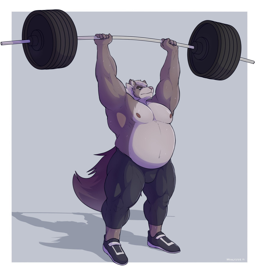 2019 anthro barbell big_muscles bodily_fluids bottomwear canid canine canis clothed clothing conal_(character) exercise fur grey_body grey_fur grey_hair hair hi_res huge_muscles male mammal manlyster multicolored_body multicolored_fur musclegut muscular muscular_male nipples pants pink_nipples pink_nose plantigrade sneakers solo standing sweat tight_clothing topless two_tone_body two_tone_fur weightlifting wolf workout