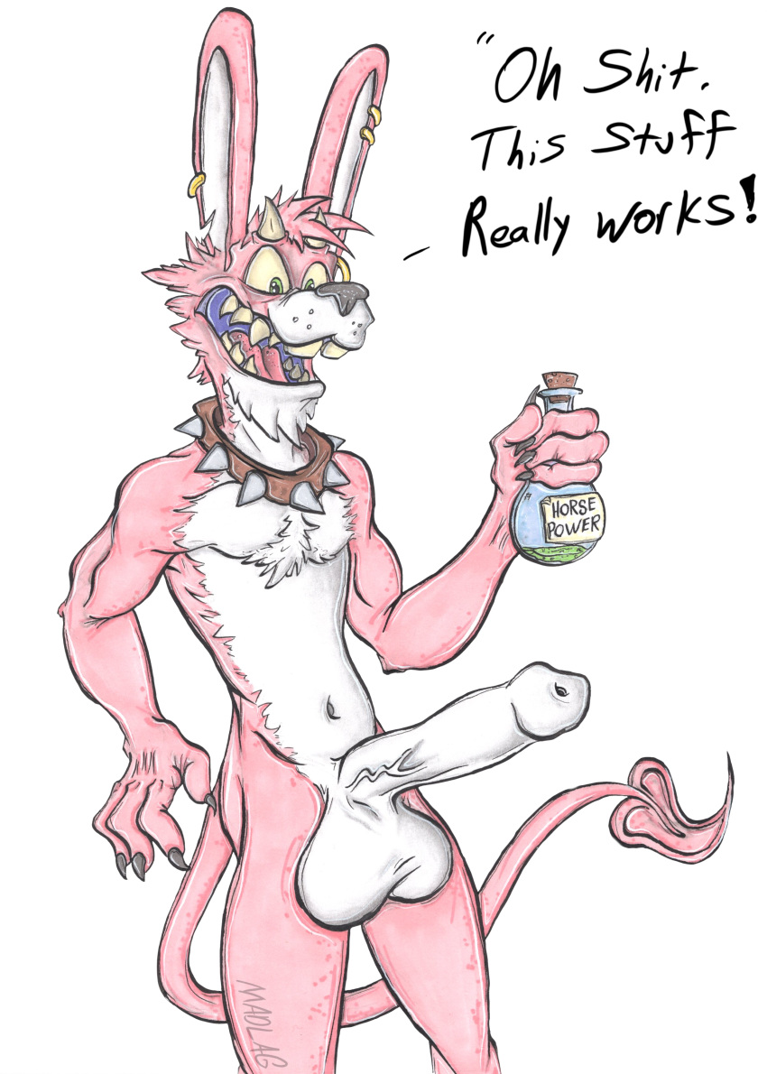2019 3_fingers absurd_res anthro balls beverage biceps big_balls bottle buckteeth butt chest_tuft claws collar demon english_text fingers front_view fur hi_res holding_object horn humanoid_penis hyper jewelry lagomorph leporid long_ears long_tail madlag male mammal multicolored_body multicolored_fur muscular nude open_mouth penis piercing pink_body pink_fur pose potion rabbit sharp_teeth signature skinny solo solo_focus spade spade_tail spiked_collar spikes standing teeth text traditional_media_(artwork) tuft two_tone_body two_tone_fur vein veiny_penis
