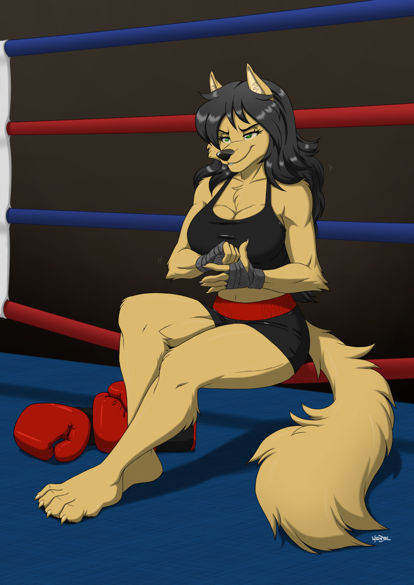 2019 4_toes 5_fingers absurd_res anthro arm_tuft athletic black_hair black_nose bottomwear boxing boxing_gloves bra breasts canid canine canis cheek_tuft chest_tuft claws cleavage clothed clothing collarbone elbow_tufts eyebrows eyelashes facial_tuft female fighting_ring finger_claws fingers fur green_eyes hair half-closed_eyes hand_wraps handwear hi_res inner_ear_fluff jessica_(sorenfisticuffs) long_hair mammal midriff navel shorts shoulder_tuft signature sitting smile smirk solo sport sports_bra tan_body tan_fur toe_claws toes tuft underwear wendel_fragoso wolf wraps