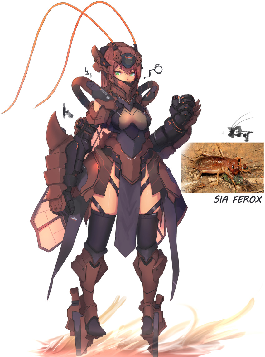 1girl absurdres armor bug clenched_hands covered_mouth full_body giant_weta green_eyes headgear highres insect looking_at_viewer mecha_musume original pelvic_curtain red_hair reference_photo robot_joints solo syaha thighhighs white_background