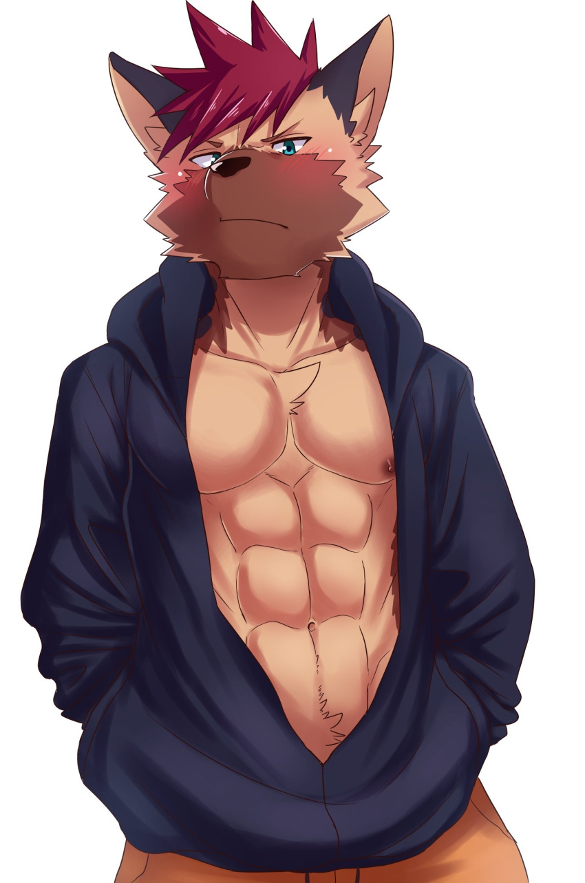 abs blush canid canine clothed clothing hi_res male mammal manadezimon muscular muscular_male open_shirt pecs shirt solo topwear