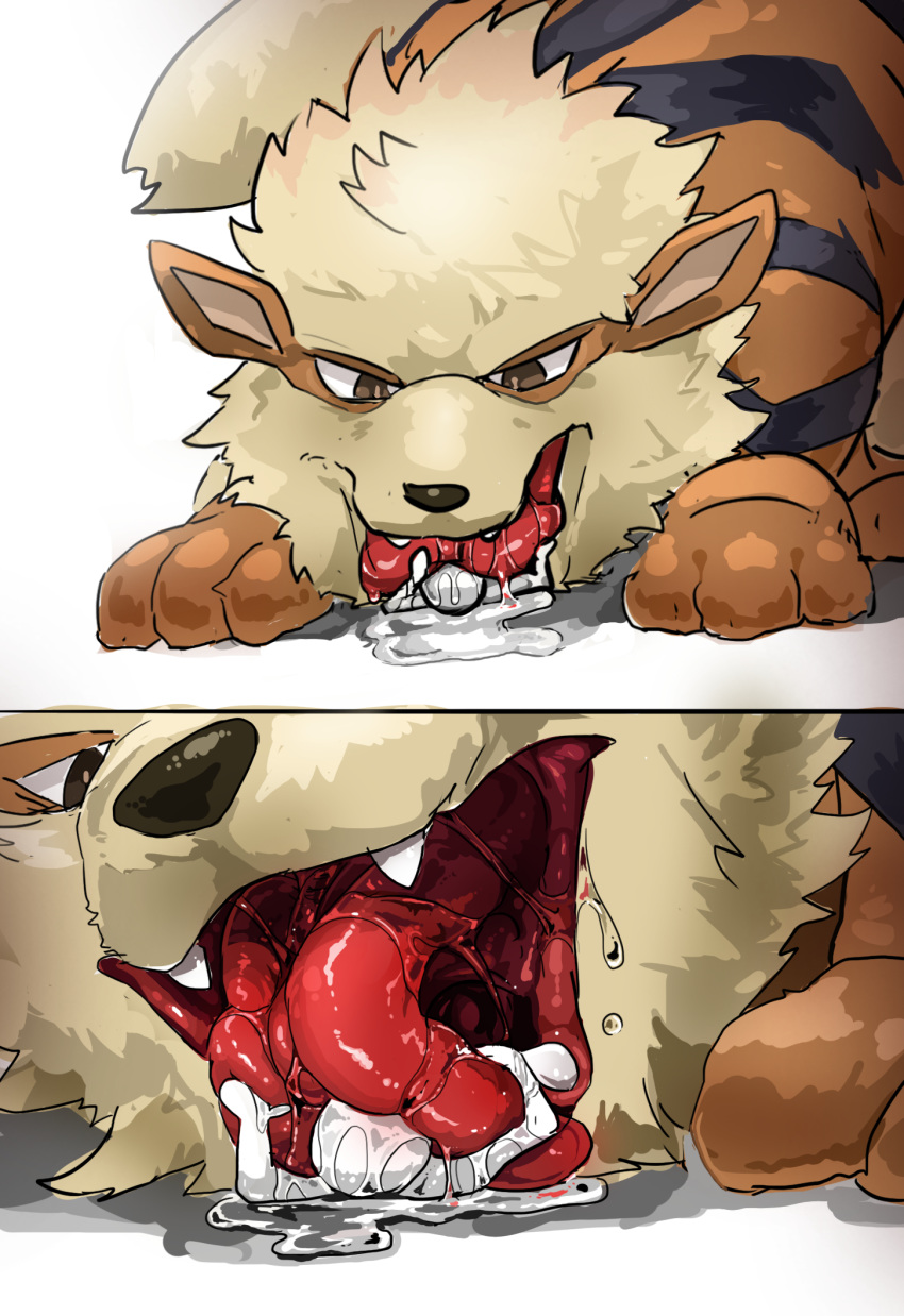 2019 3_toes ambiguous_gender arcanine black_markings black_nose black_stripes bodily_fluids brown_body brown_eyes brown_fur digital_drawing_(artwork) digital_media_(artwork) drooling duo fangs feral front_view fur hi_res hiore human imminent_vore licking looking_at_another macro mammal markings micro mouth_shot multiple_scenes nintendo open_mouth orange_body orange_fur paws pok&eacute;mon pok&eacute;mon_(species) quadruped saliva saliva_drip saliva_string simple_background size_difference stripes tasting teeth toes tongue tongue_out video_games vore wet white_background
