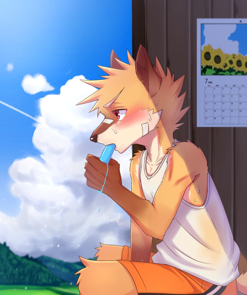 band-aid bandage blush bodily_fluids canid canine clothing eating food fox hi_res male mammal manadezimon popsicle shirt solo sweat tank_top topwear young