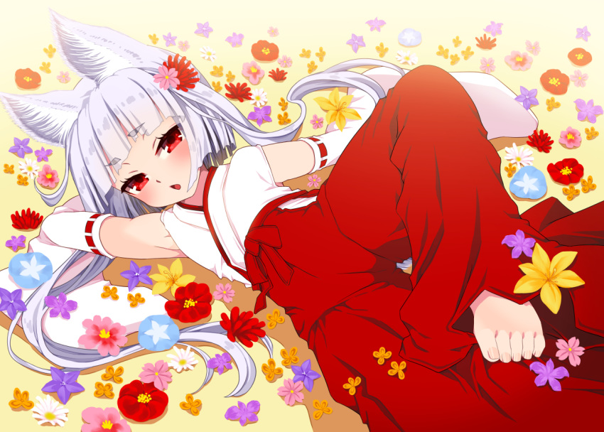 animal_ears flowers foxgirl japanese_clothes long_hair miko original red_eyes suzune_rai wihte_hair