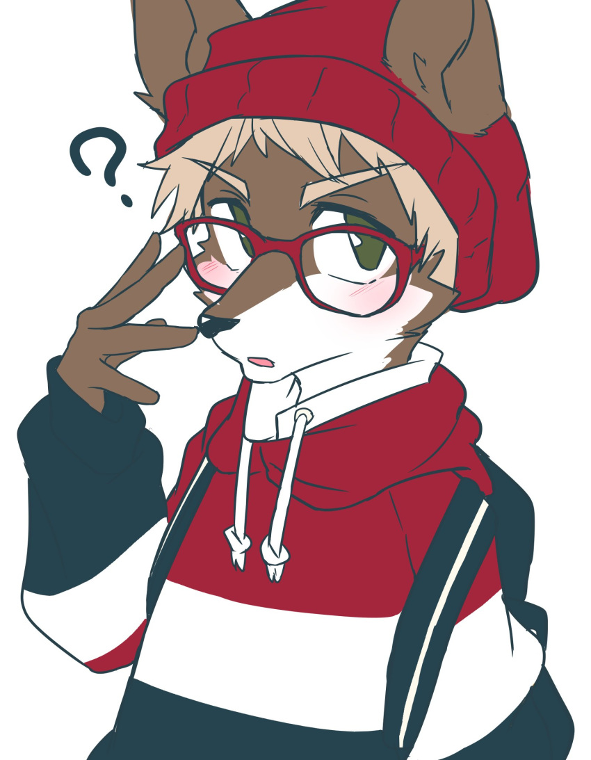 ? anthro beanie blush canid canine clothing eyewear glasses hat headgear headwear hi_res hoodie male mammal manadezimon solo topwear