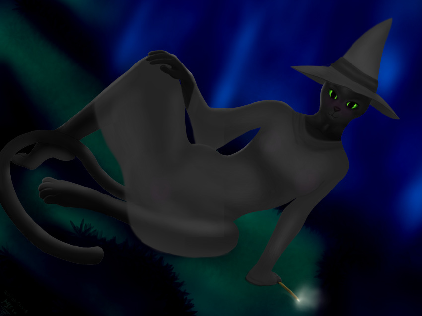 domestic_cat felid feline felis halloween hi_res holidays invalid_color magic magic_user mammal night witch