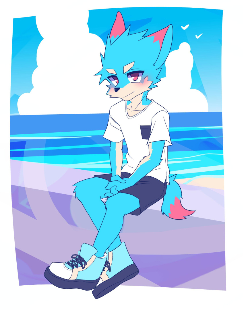 anthro beach blush domestic_cat felid feline felis hi_res male mammal manadezimon sea seaside sitting solo water young