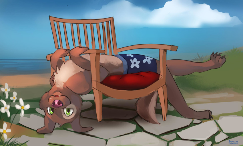 2019 4_toes anthro beach biped blue_clothing blue_swimwear brown_body brown_fur canid canine canis chair claws clothed clothing cloud countershading day digital_media_(artwork) domestic_dog flower fur furniture grass green_eyes hi_res kodacine looking_at_viewer lying male mammal multicolored_body multicolored_fur on_back on_chair outside pink_nose plant sea seaside shaded signature sky smile snout solo swimming_trunks swimwear three-quarter_view toes topless two_tone_body two_tone_fur water white_body white_countershading white_fur