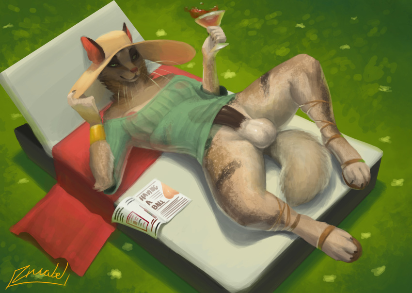 2019 anthro balls bedding bedroom_eyes blanket bracelet breasts brown_body brown_fur brown_penis canid canine canis chair clothed clothing cocktail_glass digital_media_(artwork) dress english_text footwear fur furniture gold_(metal) gold_jewelry grass green_clothing green_dress green_eyes gynomorph hat headgear headwear hi_res intersex jackal jewelry looking_at_viewer lounge_chair lying magazine mammal narrowed_eyes nipple_slip nipples on_back partially_clothed penis pink_nipples pink_nose pinup pose sandals seductive skimpy solo spread_eagle text translucent translucent_clothing translucent_dress whining whiskers white_body white_fur zimabel