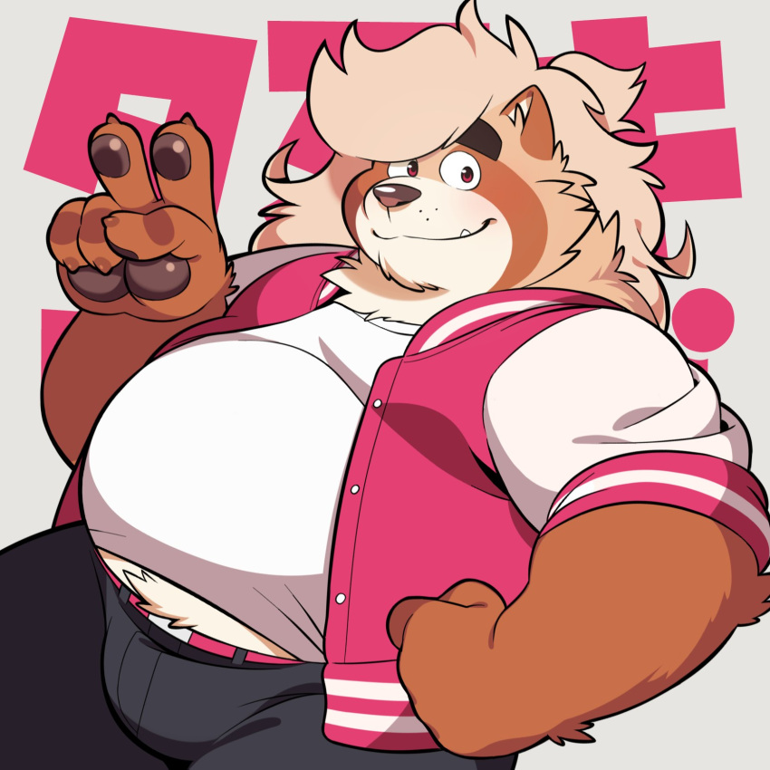 1:1 2019 anthro bakedanooki belly bottomwear canid canine clothing cute_fangs hi_res humanoid_hands japanese_text male mammal overweight overweight_male pants raccoon_dog shirt solo tanuki text topwear