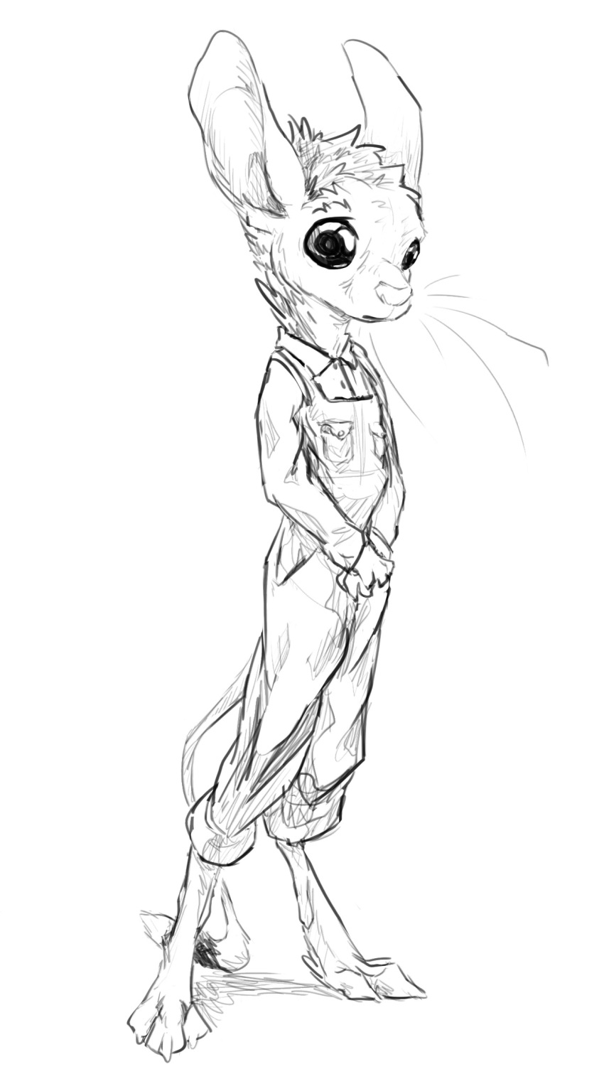 animancer black_eyes clothing dipodid hi_res jerboa luck mammal overalls realistic rodent sketch sketchbook surreal working_class