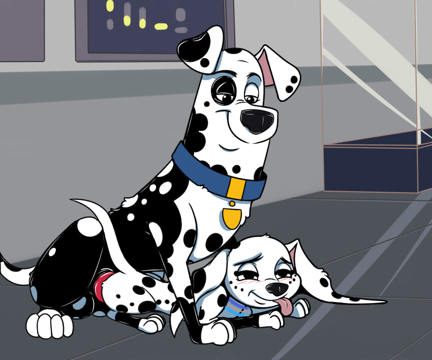 101_dalmatian_street 101_dalmatians 2019 absurd_res animal_genitalia animal_penis balls black_body black_fur canid canine canis collar dalmatian daughter disney domestic_dog father father_and_child father_and_daughter female feral fur hi_res hypergal incest knot looking_pleasured male male/female mammal multicolored_body multicolored_fur parent parent_and_child penis smile spots spotted_body spotted_fur tongue tongue_out two_tone_body two_tone_fur white_body white_fur young