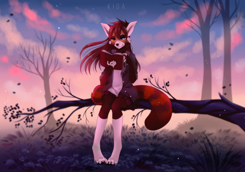 ailurid anthro book clothed clothing cloud detailed_background fully_clothed fur grass hair heterochromia holding_book holding_object kidaoriginal mammal outside red_body red_fur red_hair red_panda sitting sky solo tree white_body white_fur