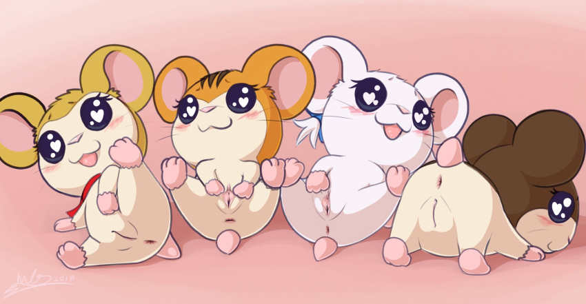 &lt;3 &lt;3_eyes anus bijou_(hamtaro) blush female feral group haiiromon hamtaro_(series) looking_at_viewer lying marron_(hamtaro) open_mouth pashmina_(hamtaro) paws presenting pussy sandy_(hamtaro) scarf smile spread_legs spread_pussy spreading