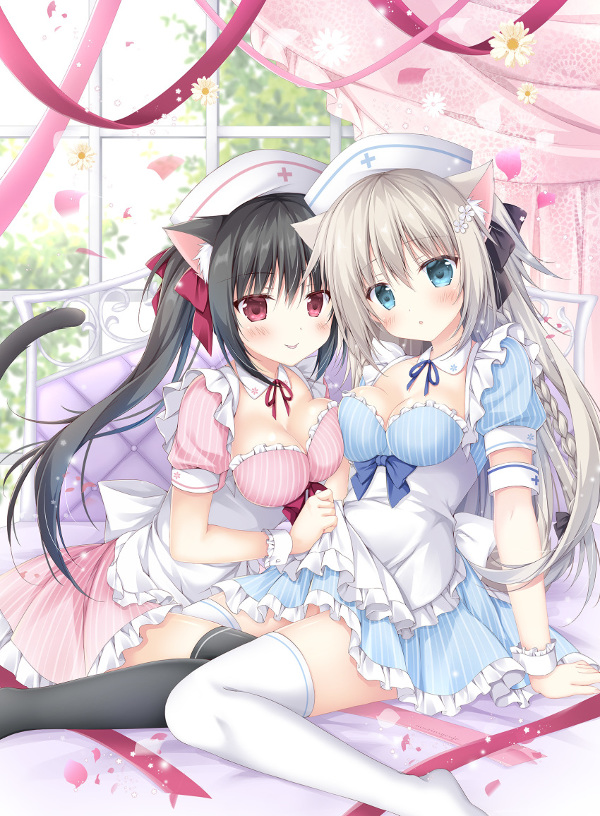 2girls :o :p animal_ears apron armband bangs black_bow black_hair black_legwear blue_dress blue_eyes blush bow breasts cat_ears cat_tail closed_mouth commentary_request dog_ears dress eyebrows_visible_through_hair flower frilled_apron frilled_dress frills hair_between_eyes hair_bow hat highres korie_riko light_brown_hair long_hair medium_breasts multiple_girls nurse_cap original parted_lips petals pink_dress puffy_short_sleeves puffy_sleeves red_eyes short_sleeves sitting smile striped tail thighhighs tongue tongue_out twintails vertical-striped_dress vertical_stripes very_long_hair wariza white_apron white_flower white_headwear white_legwear wrist_cuffs