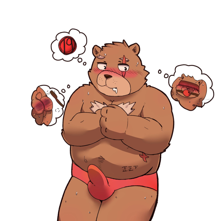 2019 anthro ball_gag balls blush bodily_fluids brown_body brown_fur butt clothing drooling erection erection_under_clothing fur gag male mammal re_jin37 saliva scar simple_background slightly_chubby solo spank_marks underwear ursid white_background