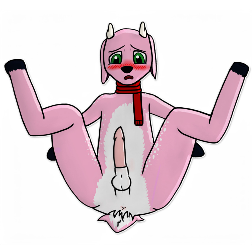 1:1 absurd_res alpha_channel antlers anus balls blush capreoline cervid clement_clear clothing cub digital_media_(artwork) embarrassed erection fur ggbinald green_eyes hi_res hooves horn lying male mammal on_back penis perineum pink_body pink_fur scarf simple_background solo spots transparent_background white-tailed_deer white_body white_fur white_spots young