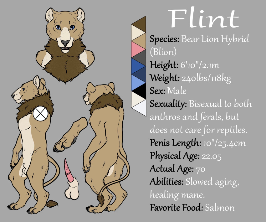 absurd_res anatomically_correct animal_genitalia animal_penis anthro balls blue_eyes brown_body brown_fur butt digitigrade erection felid feline feline:penis flaccid flint_blion flintblion fur hi_res hybrid lion male mammal mane model_sheet nude pantherine penis sheath solo ursid ursine_penis weirdiefox