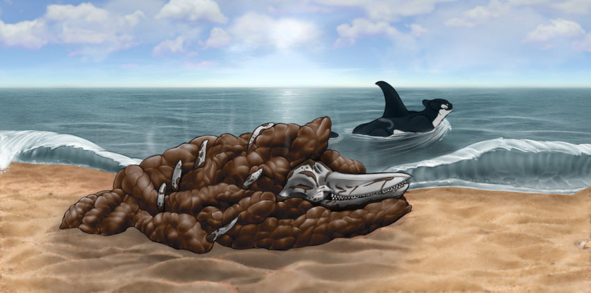 beach bone detailed_background disposal fatal feces feral hybrid otis_(rothar) post_vore sand scat sea seaside skull talrion vore water