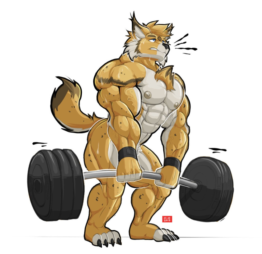 2019 4_toes 5_fingers anthro barbell big_muscles black_body black_fur black_nose blue_eyes chest_tuft chirros deadlift exercise felid feline fingers fur lynx male mammal muscular muscular_male nipples nude plantigrade simple_background solo spots spotted_body spotted_fur toes tuft weightlifting white_background white_body white_fur workout wristband yellow_body yellow_fur