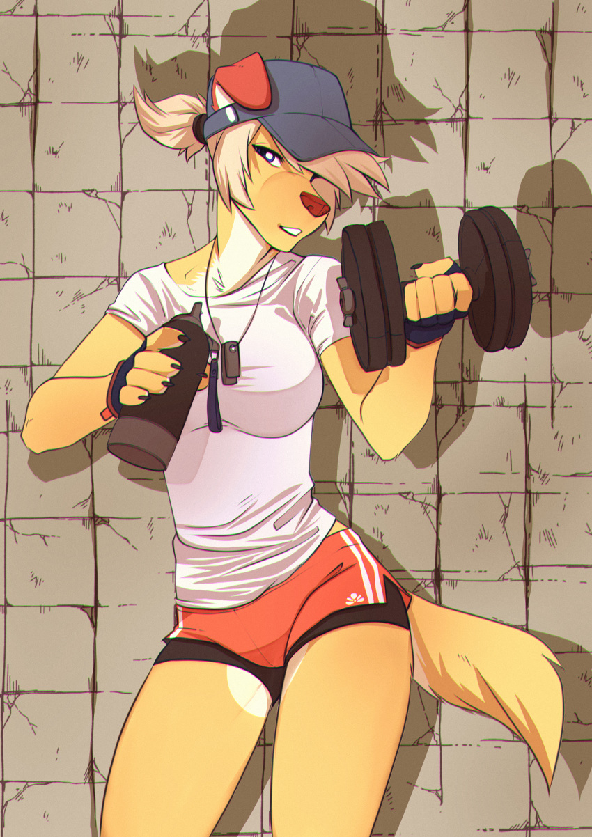 2019 5_fingers anthro athletic big_breasts blonde_hair blue_eyes bottomwear breasts canid canine canis clothed clothing digital_media_(artwork) dirty_blonde_hair dog_tags domestic_dog dumbbell exercise female fingerless_gloves fingers floppy_ears frori fur gloves hair handwear hat headgear headwear hi_res hotpants looking_at_viewer lotusgarden mammal ponytail portrait shirt shorts simple_background solo standing three-quarter_portrait tied_hair topwear track_shorts water_bottle weightlifting weights white_clothing white_shirt white_topwear workout yellow_body yellow_fur