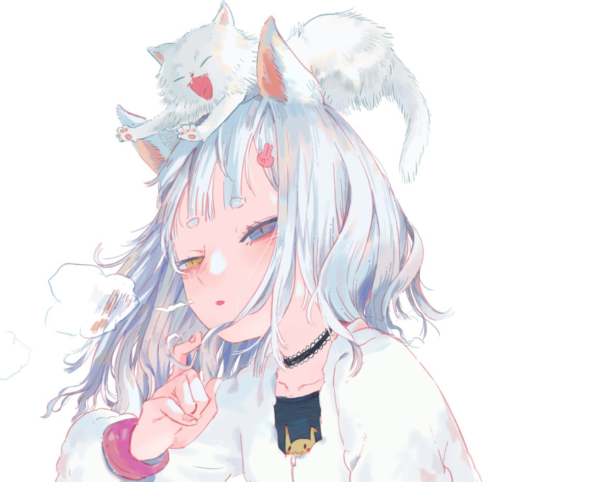 animal animal_ears bicolored_eyes cat choker close gray_hair original short_hair shrimp_cc white