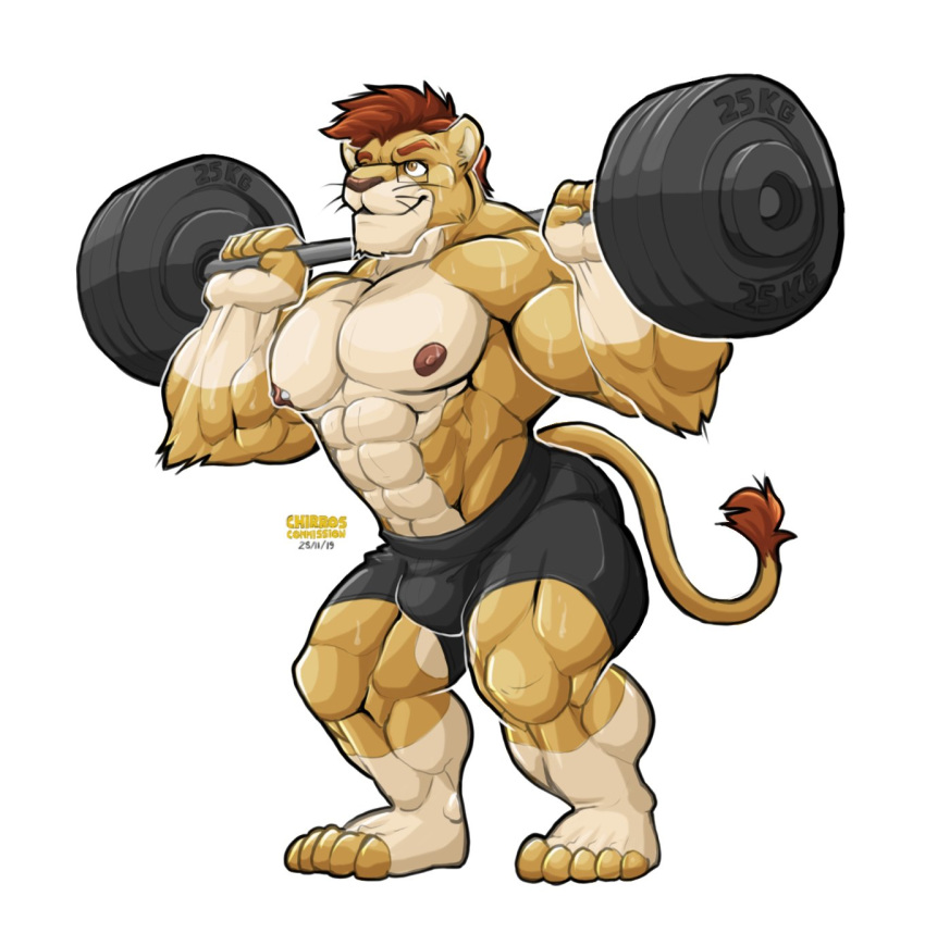 2019 5_fingers 5_toes anthro barbell bodily_fluids bottomwear bulge chirros clothing exercise eyewear felid fingers fur glasses hair lion male mammal multicolored_body multicolored_fur muscular muscular_male nipple_piercing nipples pantherine piercing pink_nipples plantigrade red_hair shorts simple_background solo sweat tan_body tan_fur toes two_tone_body two_tone_fur weightlifting white_background workout