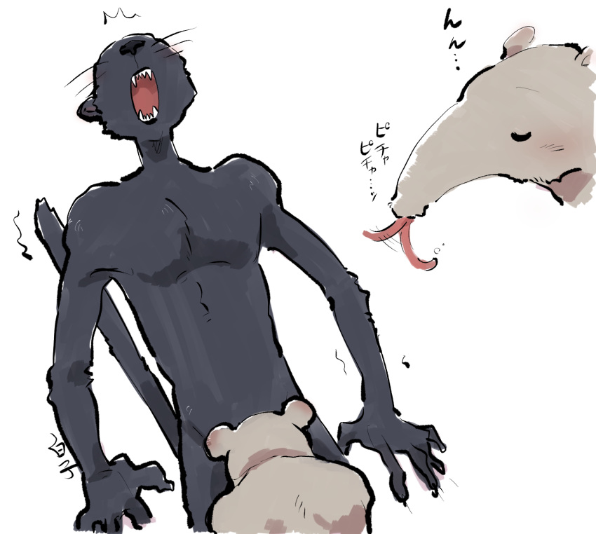 2019 5_fingers anteater athletic athletic_male beastars black_body black_fur black_nose duo eyes_closed felid fingers fur hi_res humanoid_hands kibi_(beastars) licking male male/male mammal open_mouth oral pantherine pilosan shirako signature simple_background tao_(beastars) tongue tongue_out white_background xenarthran